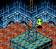 Play Equinox Online